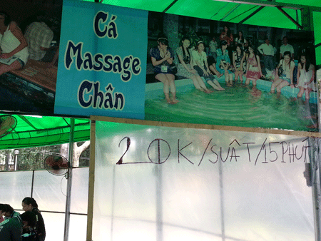 Người Sài Gòn hào hứng với cá masage giá rẻ 2