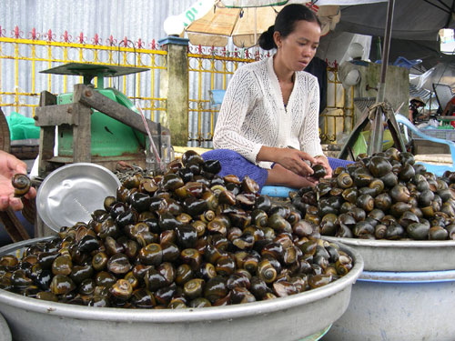 Chọn thực phẩm th&ocirc;ng minh để tr&aacute;nh bệnh truyền nhiễm m&ugrave;a h&egrave; 1