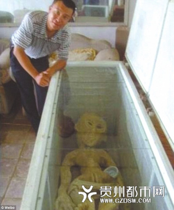 Tháng 12/2013, một người đàn ông Trung Quốc đã đăng tải hình ảnh của mình đứng bên cạnh một người ngoài hành tinh trong tủ lạnh.