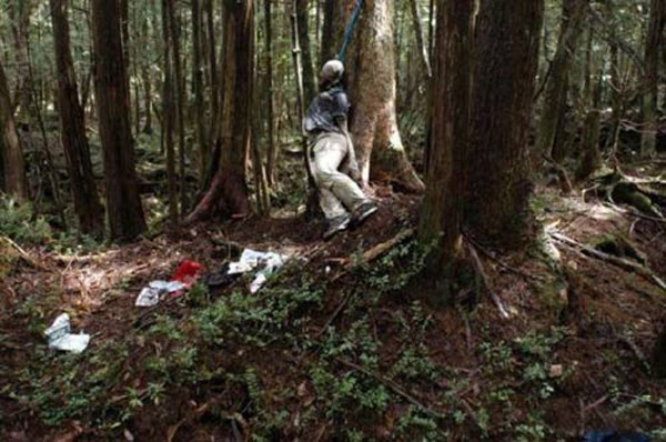 Hãi hùng thám hiểm ngôi rừng nghìn người tự sát ở Nhật Bản
