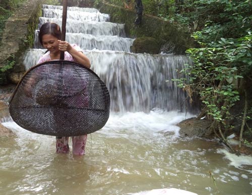 Canh chua nòng nọc nức tiếng xứ Thanh - 4