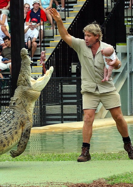 Robert được bố cho đối mặt với cá sấu từ khi còn nhỏ