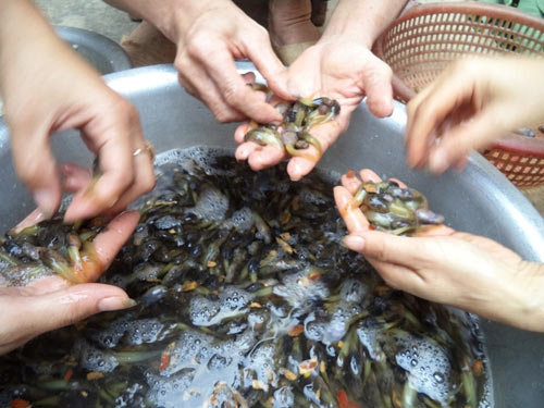 Canh chua nòng nọc nức tiếng xứ Thanh - 6