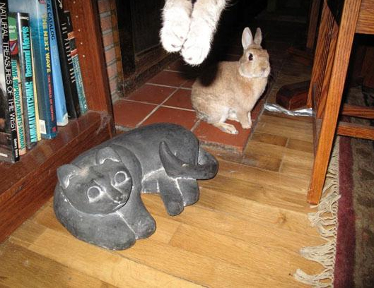 Một người dùng Flickr mang tên Mary Cummins đã đăng bức ảnh này với chú thích: Tôi đã cố gắng chụp bức ảnh chú thỏ Lyle với con mèo gỗ nhưng con mèo Hattie lại nhảy ra để “tham gia” cùng chúng tôi.