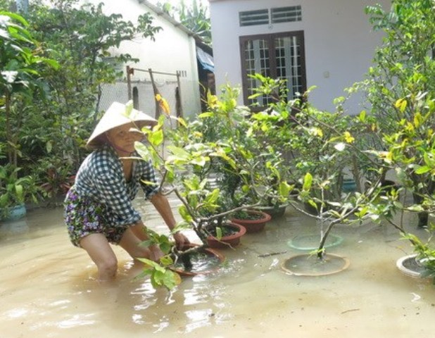 Người dân cứu hộ cây kiểng bị ngập tại phường Hiệp Bình Chánh (Thủ Đức)