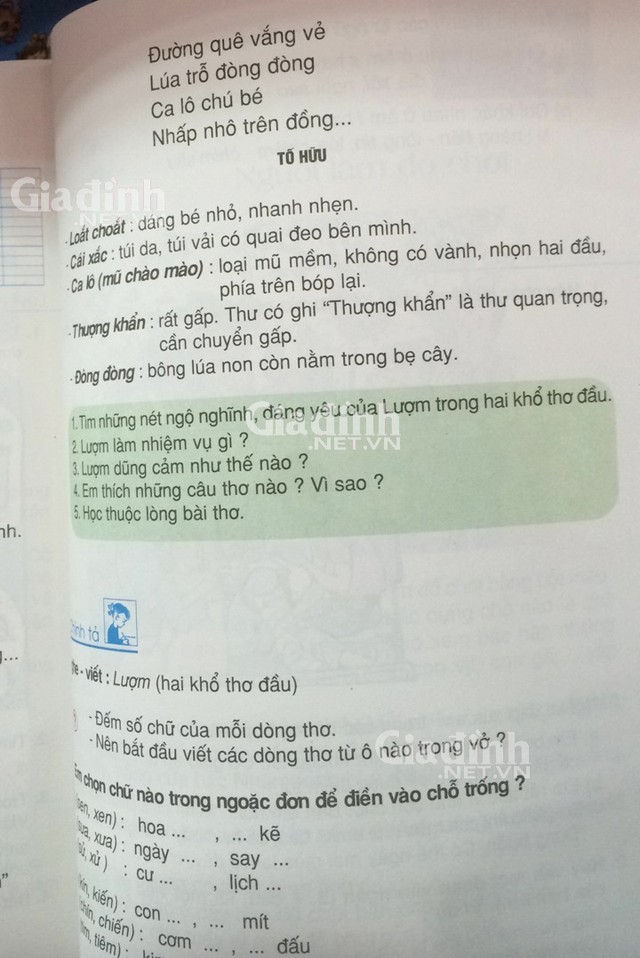 Sai dấu hỏi và dấu ngã trong câu: Lúa trổ đòng đòng.