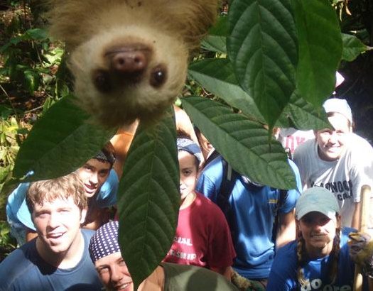Một con lười đã rất tò mò khi những sinh viên tình nguyện quốc tế chụp ảnh trong chuyến thám hiểm ở Costa Rica.