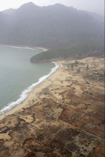 Một bức ảnh chụp từ trên không cho thấy sự tàn phá khủng khiếp bởi sóng thần Ấn Độ Dương ở phía tây của Banda Aceh, Indonesia hôm 8/1/2005. Indonesia, Thái Lan và Sri Lanka là những nước bị ảnh hưởng nhiều nhất bởi các trận động đất đi kèm với sóng thần 26/12.