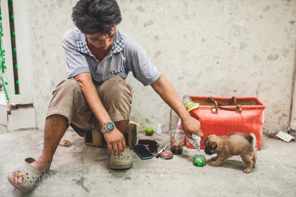 anh đánh giày, chú chó nhỏ, Sài Gòn, từ thiện