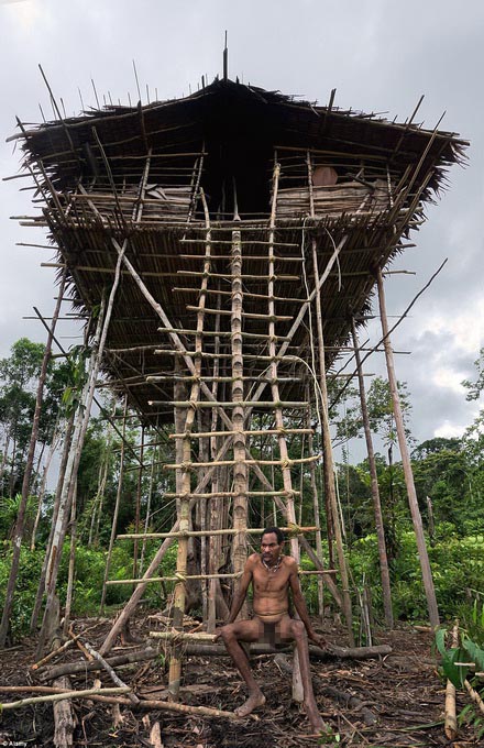Theo người Korowai, họ xây nhà tít trên cao hàng chục mét để tránh sự tấn công của động vật nguy hiểm.