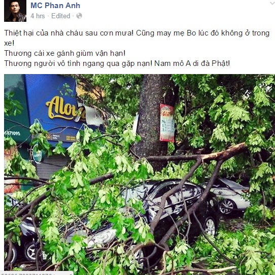 Phan Anh cho biết xe nhà anh vừa bị cây đè