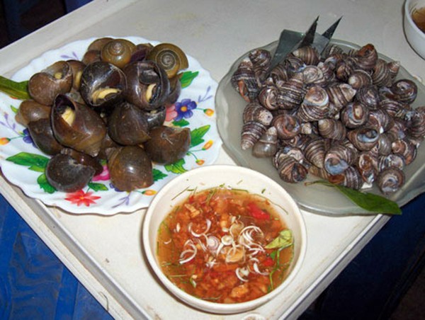 qu&aacute;n ăn, phở B&aacute;t Đ&agrave;n, xếp h&agrave;ng, h&agrave;ng qu&aacute;n, b&uacute;n mắng, phở chửi, qu&aacute;n-ăn, phở-B&aacute;t-Đ&agrave;n, xếp-h&agrave;ng, h&agrave;ng-qu&aacute;n, b&uacute;n-mắng, phở-chửi,