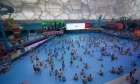 Bắc Kinh: 50% bể bơi công cộng chứa lượng nước tiểu quá mức quy định