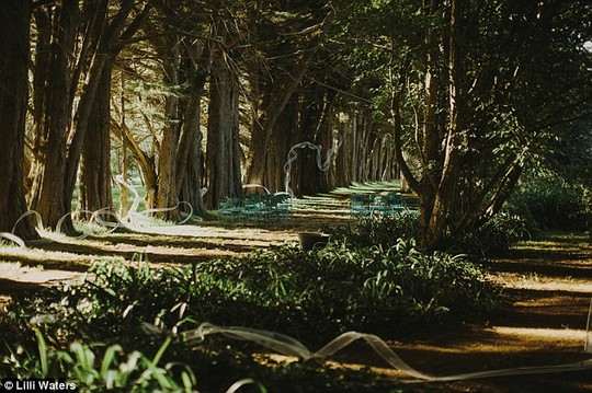 The Canberra-based sculptor created a portrait of the couple with 4km of white mesh