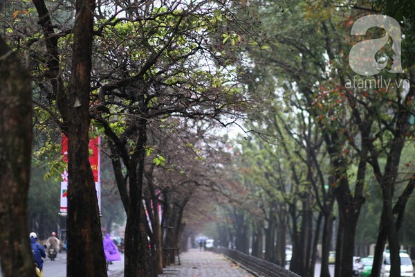 Hà Nội, mưa phùn, con phố