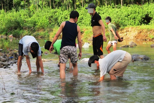 rùa vàng, săn lùng, kho báu, người dân, Hà Tĩnh, rùa-vàng, săn-lùng, kho-báu, người-dân, Hà-Tĩnh,