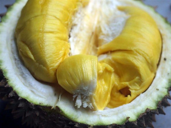 ăn sầu riêng