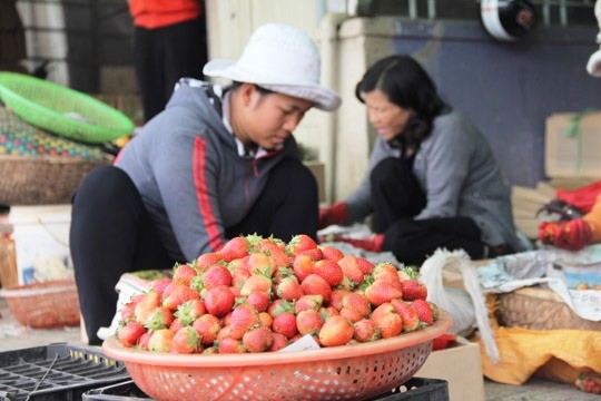 Nhiều người mua với giá cao bất ngờ.