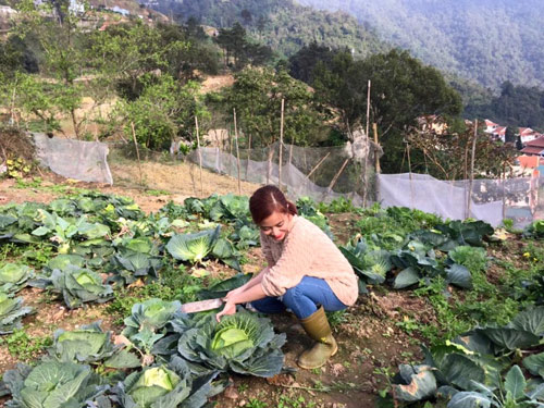 Thu Phương, Mỹ Linh thích thú trồng rau sạch tại nhà - 9