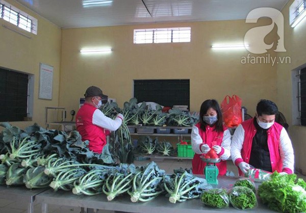 bỏ việc, trợ lý,  quản lý, khách sạn, nông dân, rau sạch, bỏ-việc, trợ-lý,  quản-lý, khách-sạn, nông-dân, rau-sạch