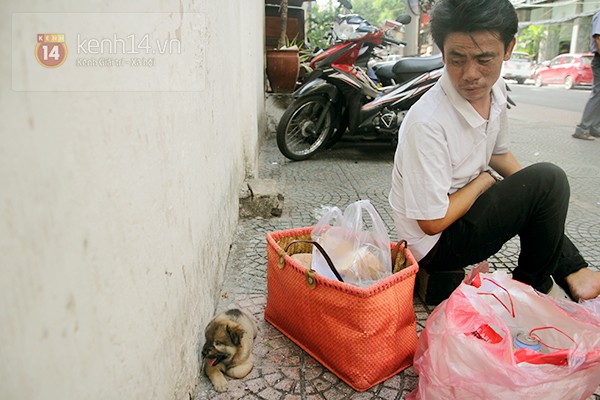 anh đánh giày, chú chó nhỏ, Sài Gòn, từ thiện