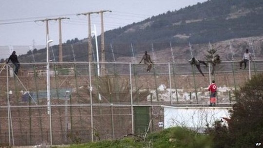 Nhiều người di cư đã cố trèo qua hàng rào cao 7m ngăn cách các thành phố Tây Ban Nha và Maroc. Ảnh: AP