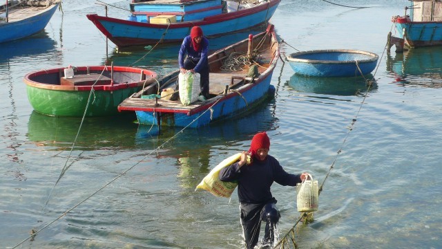 Bí kíp bán cua huỳnh đế Lý Sơn giá rẻ ở Hà Nội