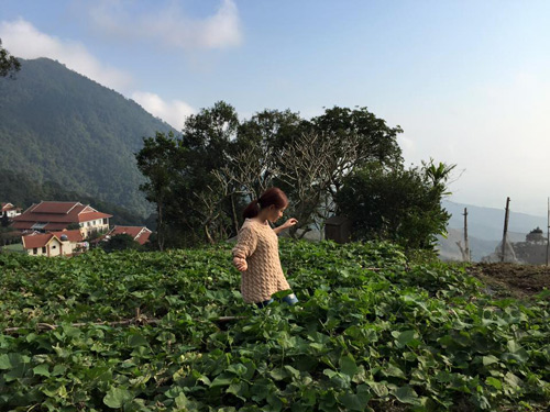 Thu Phương, Mỹ Linh thích thú trồng rau sạch tại nhà - 10