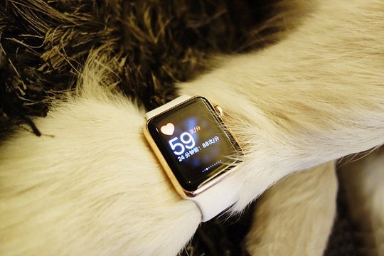 Extravagant: In a follow-up post, Sicong shows the watch being used to test Kekes heart rate