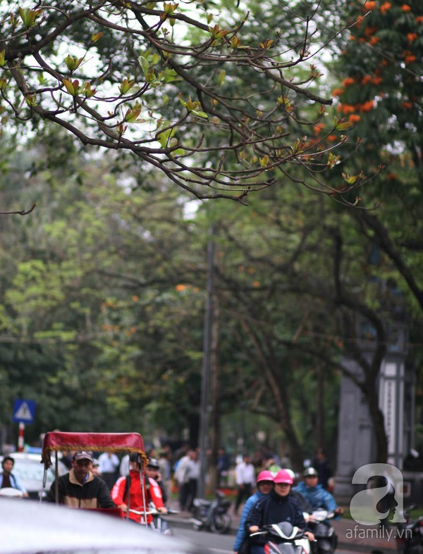 Hà Nội, mưa phùn, con phố