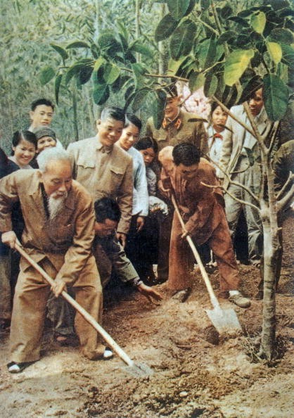 Chủ tịch Hồ Chí Minh cùng nhân dân trồng cây trong dịp 