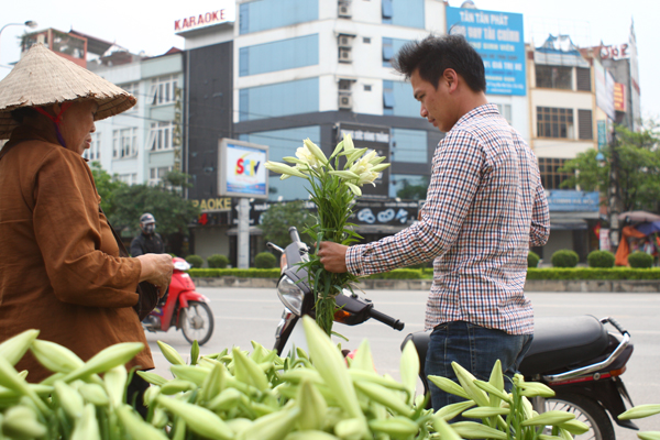 Giá hoa loa kèn thời điểm hiện này là 5.000 đồng/cành.