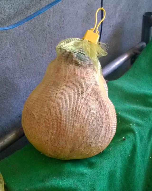 - 8