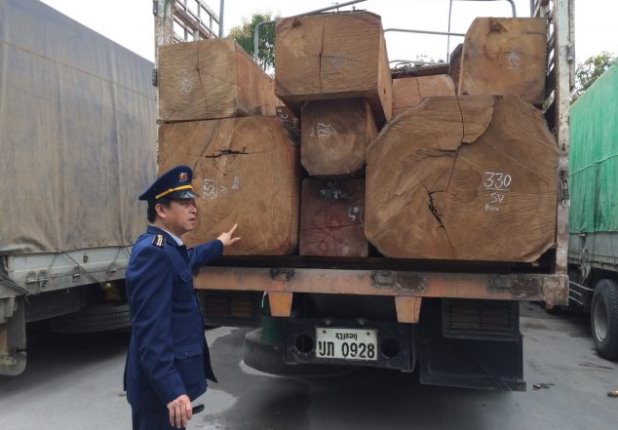 Đoàn xe chở quá tải đang bị tạm giữ tại huyện Đô Lương