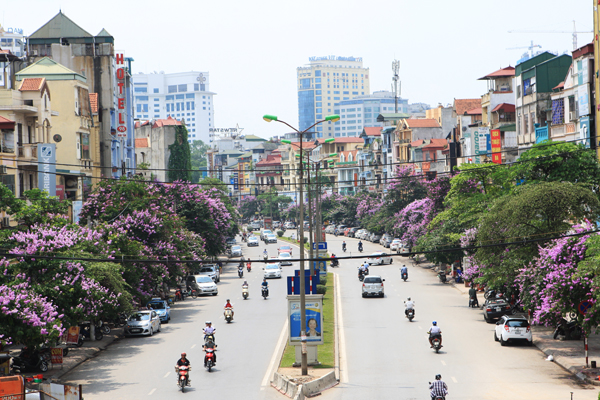 bằng lăng, phố đào tấn