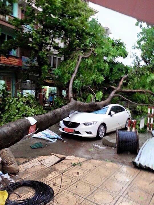 Dong loc Ha nOi