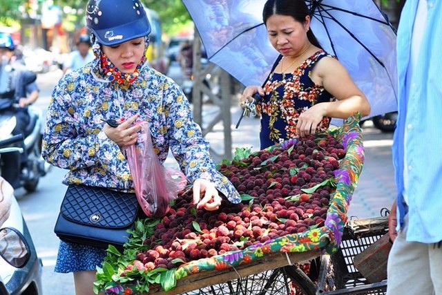 Quả thanh mai đang được bán giá cao, khoảng 200.000 đồng/kg. 	Ảnh: M.Hạnh