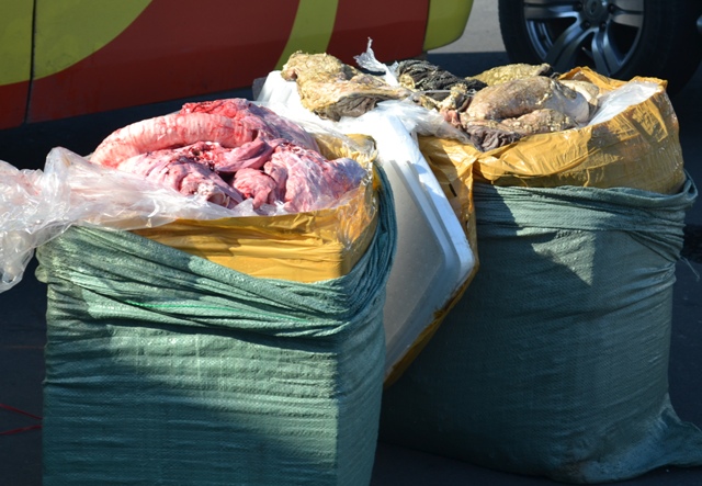 Số nội tạng bẩn đựng trong 2 bao tải chuẩn bị tuồn qua Lào