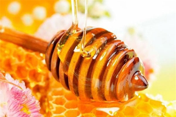 Mật ong giúp tăng cường hệ miễn dịch và chống nhiễm trùng. (Ảnh minh họa)