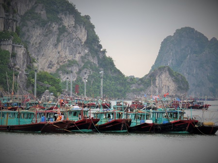 Tại khu vực vịnh, mọi tàu thuyền đã vào tránh trú bão