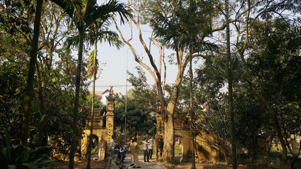 
Trong khuôn viên đình làng Đông Cốc hiện có cây sưa 400 tuổi nằm ngay sân đình và cây sưa 200 tuổi nằm ở cổng đình.
