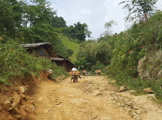 
Các xe máy chở gỗ từ khu vực giáp danh tỉnh Sơn La - Yên Bái về xã Bản Mù, huyện Trạm Tấu. Ảnh chụp tháng 10.2016
