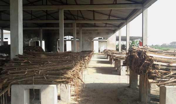 
Trung tâm thương mại thành nơi tập kết gỗ, hoạt động của xưởng cưa. Ảnh: Thiên Ân
