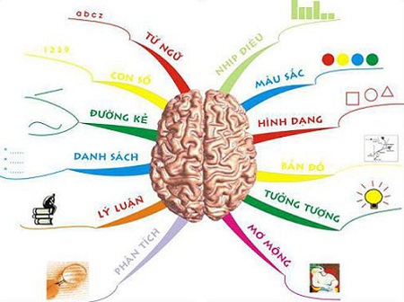 
Kích hoạt não bộ trẻ em cần có phương phám, tần suất phù hợp. Ảnh: TL
