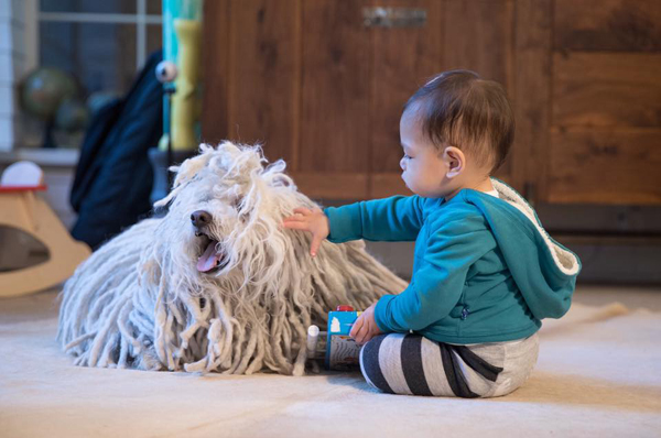 
Cô bé Max gần 1 tuổi chơi đùa với chú chó cưng Beast. Ảnh: Facebook
