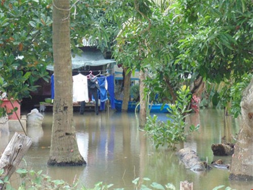 Nhà anh Tán nơi cháu Trà chết do đuối nước.