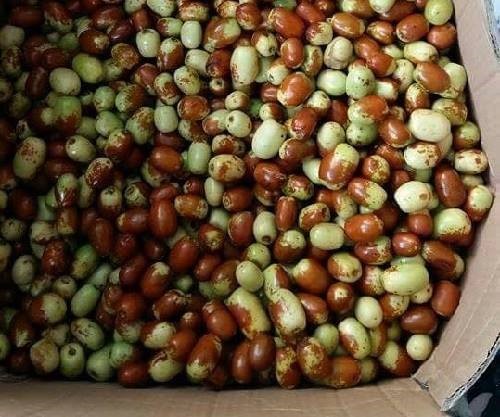 Táo Trung Quốc có giá bán khoảng 70.000-100.000 đồng/kg.