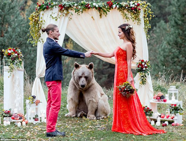 
Một đám cưới diễn ra tại Nga vào đầu tháng 11 đã thu hút sự quan tâm của đông đảo cộng đồng mạng. Cặp đôi Denis và Nelya, 30 tuổi, sống tại thủ đô Moscow đã có một đám cưới ấn tượng với sự xuất hiện của chú gấu Stepan trong vai trò chủ hôn.

