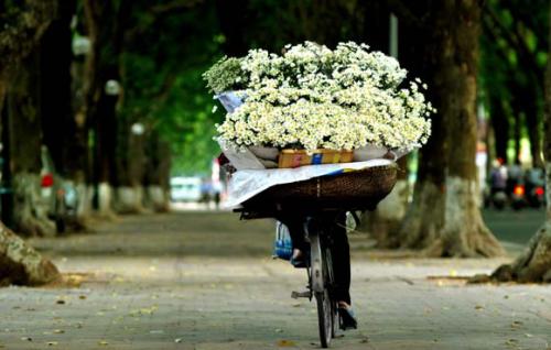 
Th&aacute;ng 11 l&agrave; th&aacute;ng của c&uacute;c họa mi b&aacute;o hiệu đ&ocirc;ng về. H&igrave;nh minh họa
