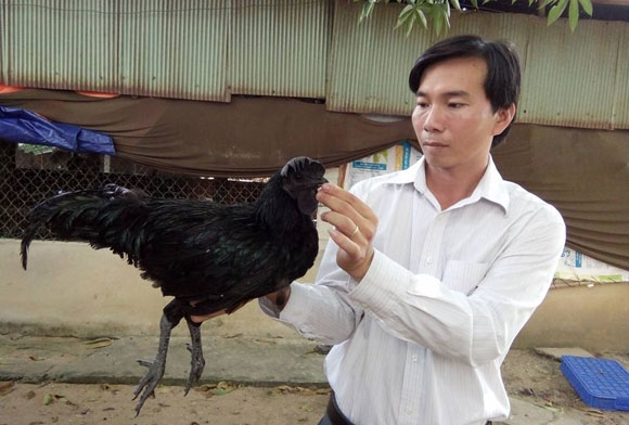 Trương Văn Phúc giới thiệu về loài gà đen Indonesia.  Ảnh: Văn Tràng